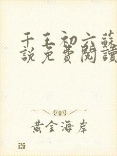 千王初六苏梅小说免费阅读