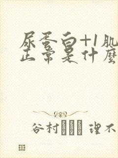 尿蛋白+1肌酐正常是什么原因