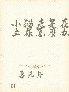 小猫老是在沙发上尿怎么办