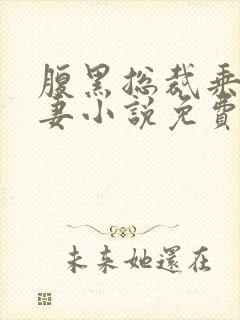 腹黑总裁乘胜追妻小说免费阅读