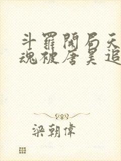 斗罗开局天使武魂被唐昊追杀