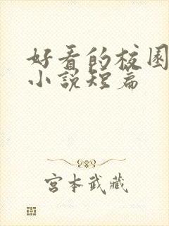 好看的校园言情小说短篇