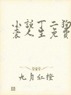 小说丁二狗的逆袭人生免费阅读