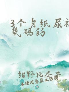 3个月纸尿裤穿几码的