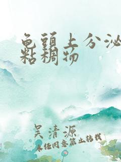 龟头上分泌透明粘稠物