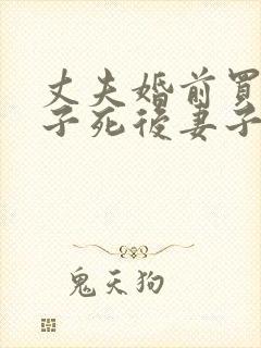 丈夫婚前买的房子死后妻子能继承吗