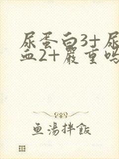 尿蛋白3+尿潜血2+严重吗