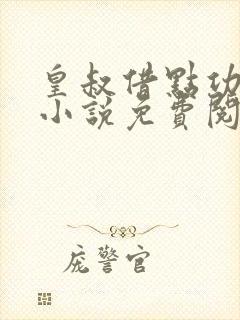 皇叔借点功德的小说免费阅读全文