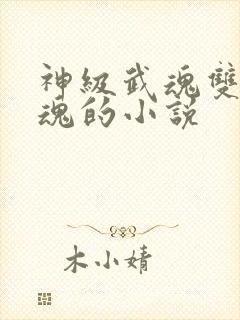 神级武魂双生武魂的小说