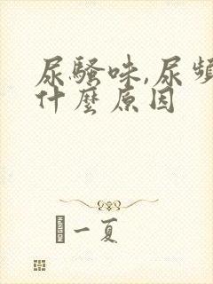 尿骚味,尿频是什么原因