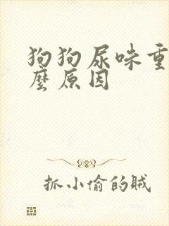 狗狗尿味重是什么原因