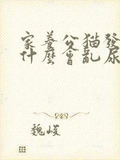 家养公猫发情为什么会乱尿