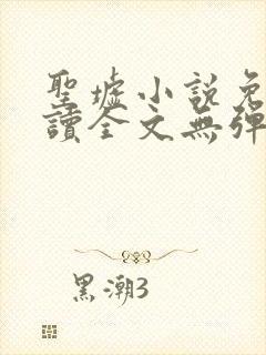 圣墟小说免费阅读全文无弹窗