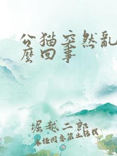 公猫突然乱尿怎么回事