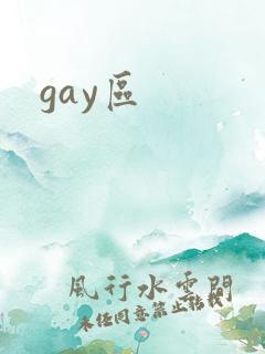 gay区