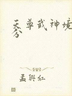 天尊武神境界划分