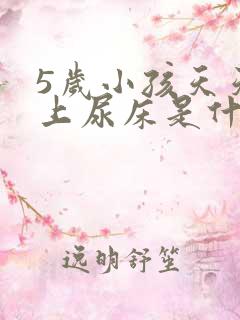 5岁小孩天天晚上尿床是什么原因