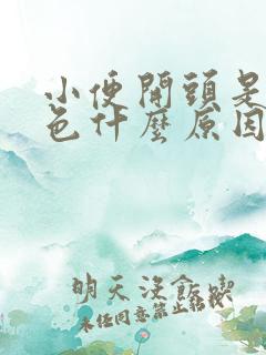 小便开头是乳白色什么原因