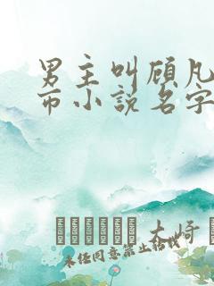 男主叫顾凡的都市小说名字