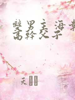 双男主 海棠 高干父子