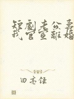 短剧老公寿宴上我官宣离婚免费观看