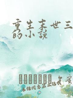 重生末世三天前的小说