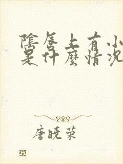 阴唇上有小颗粒是什么情况