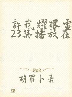 许我耀眼电视剧23集播放在线观看