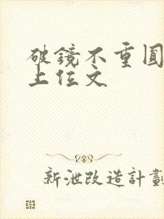 破镜不重圆男二上位文