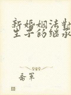 新婚姻法对非婚生子的继承权规定