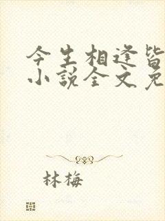 今生相逢皆是错小说全文免费阅读