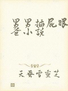 男男插屁眼操爸爸小说