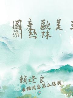 国产 欧美 亚洲 丝袜