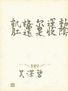 凯格尔运动是提肛还是收阴