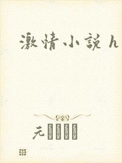 激情小说 h