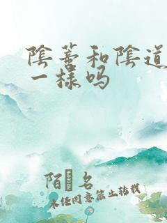 阴蒂和阴道高潮一样吗