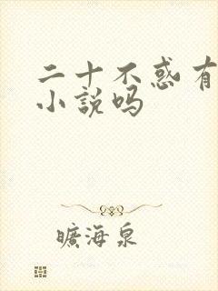 二十不惑有原著小说吗