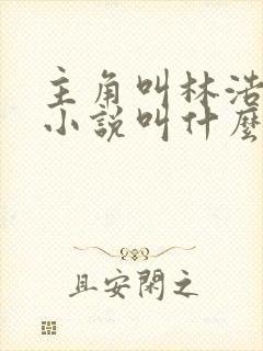 主角叫林浩然的小说叫什么