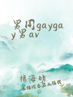 男同gaygay男av