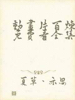 动画片百炼成神免费看全集