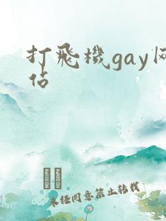 打飞机gay网站