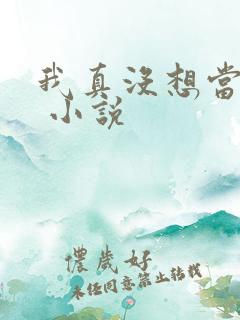 我真没想当皇上 小说