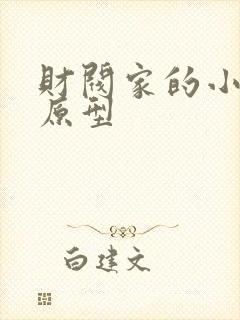 财阀家的小儿子原型