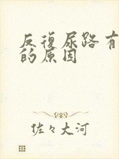 反复尿路有感染的原因