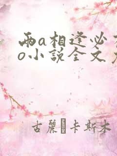 两a相逢必有一o小说全文免费阅读