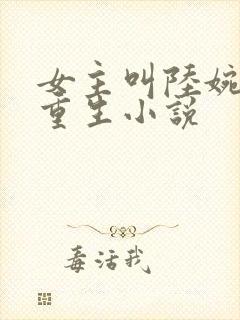 女主叫陆婉婉的重生小说