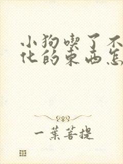 小狗吃了不好消化的东西怎么办