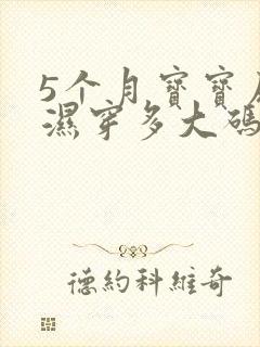 5个月宝宝尿不湿穿多大码