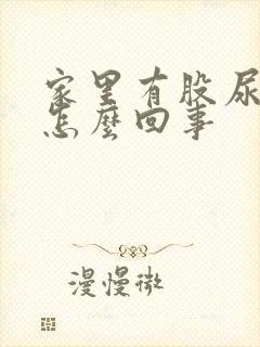 家里有股尿骚味怎么回事