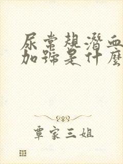 尿常规潜血1个加号是什么意思